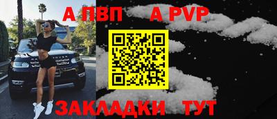 крисы Кингисепп